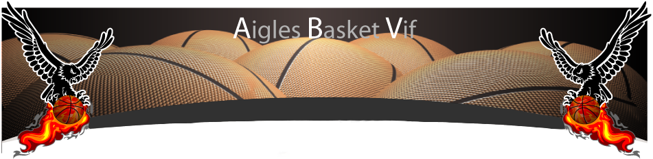 Aigles Basket de Vif